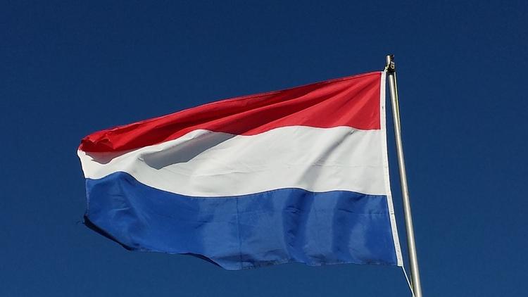 Нидерланды передумали финансировать организацию «Белые каски»