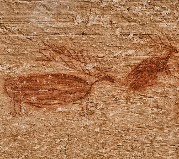 Археологи нашли в Африке древнейший в мире рисунок