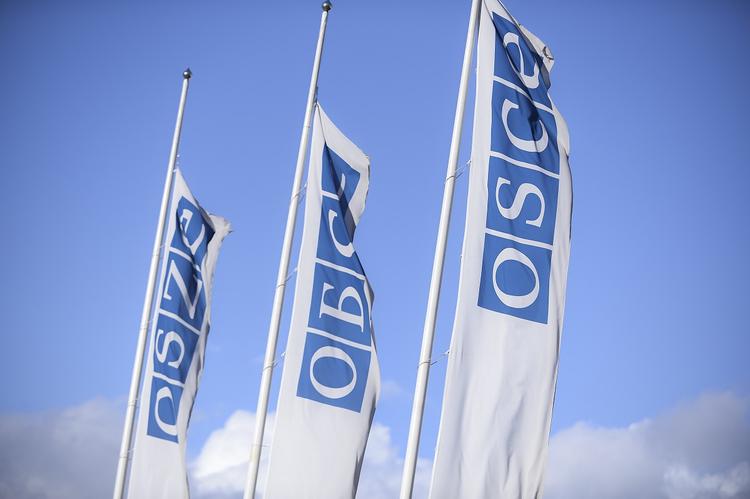 В Крыму призвали делегацию ОБСЕ не медлить с визитом