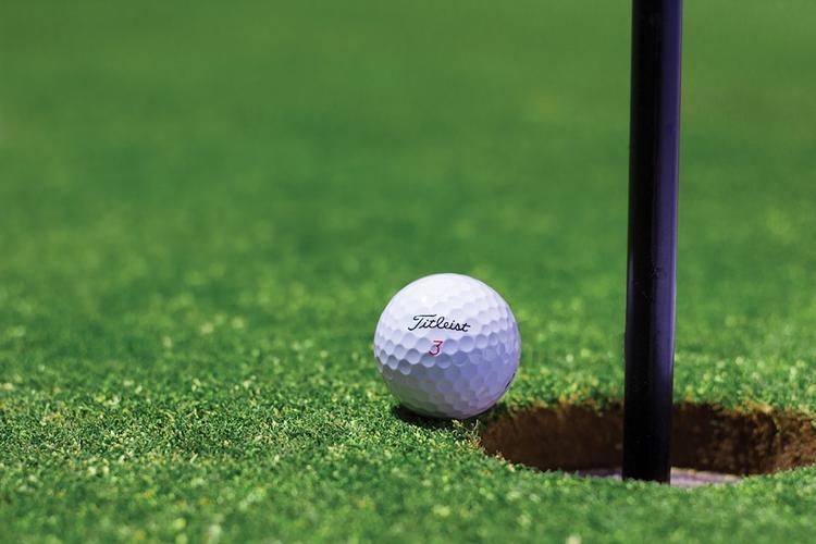 В США найдена убитой чемпионка Европы по гольфу