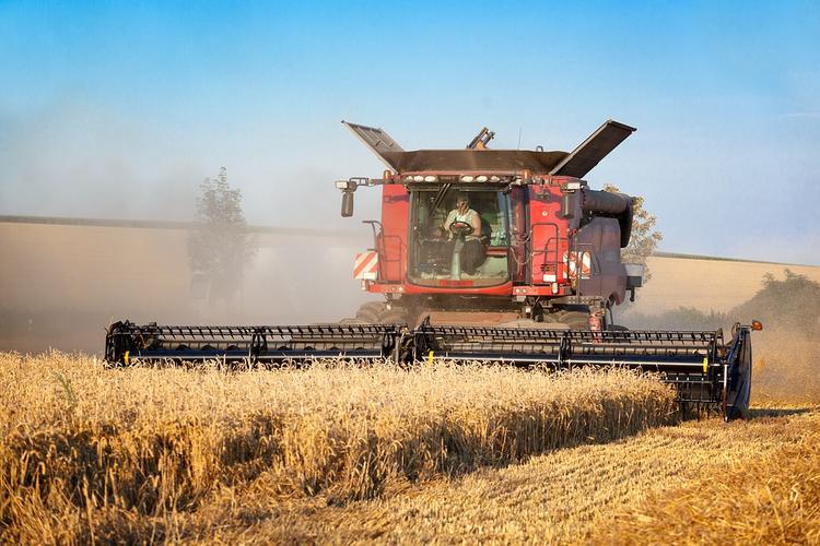 Рекордный урожай пшеницы в России угрожает фермерам в США