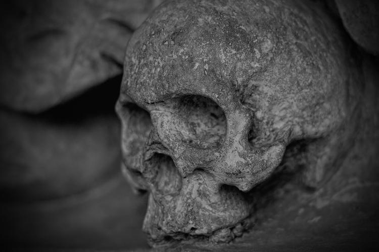 В Люберцах нашли человеческий скелет