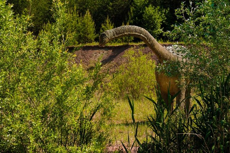 Видео: в Африке обнаружили гигантского динозавра, ранее неизвестного науке