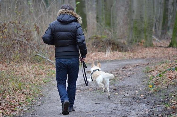 Москвичка, гуляя с собакой, смогла дать отпор насильнику