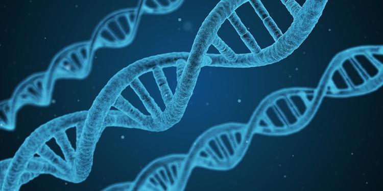 Ученые обнаружили генетическую мутацию, которая полезна для здоровья человека