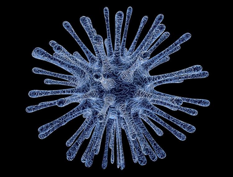 Ученые раскрыли вирус, способный бороться с раком