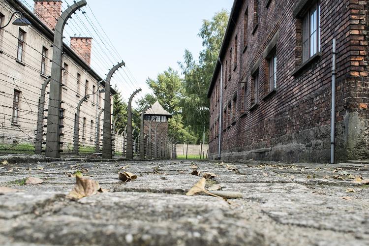 В Польше начали расследование из-за украинской игры про Освенцим