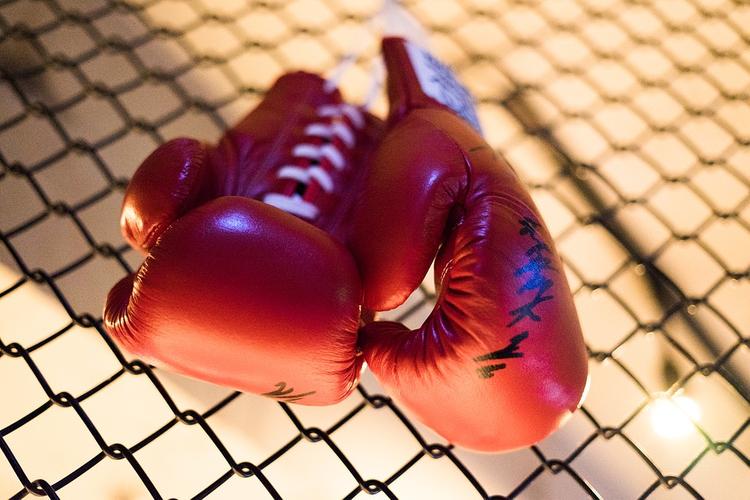 Итальянский боксер проиграл бой нокаутом и умер