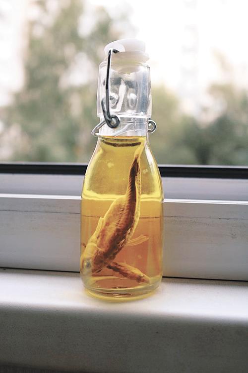 Плутоватые американские генетики – 2