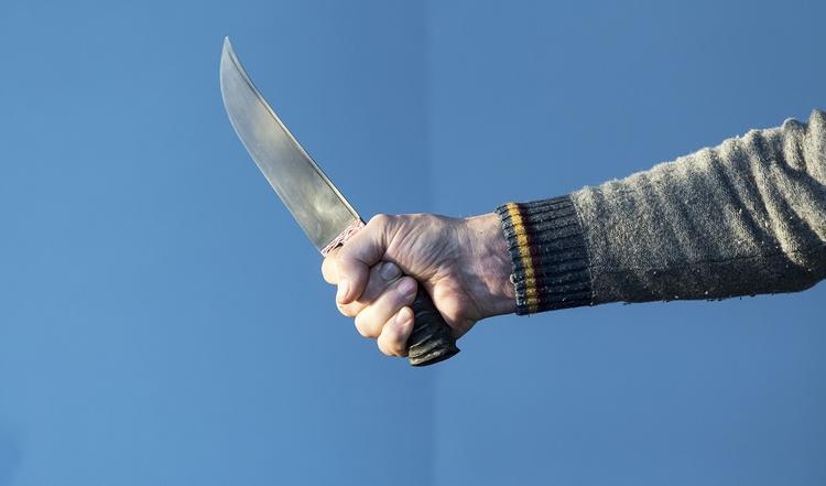 Мужчина в Солнечногорске, нанесший жене 48 ударов ножом, сядет в тюрьму