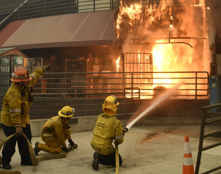 Количество жертв пожаров в Калифорнии превысило 65 человек