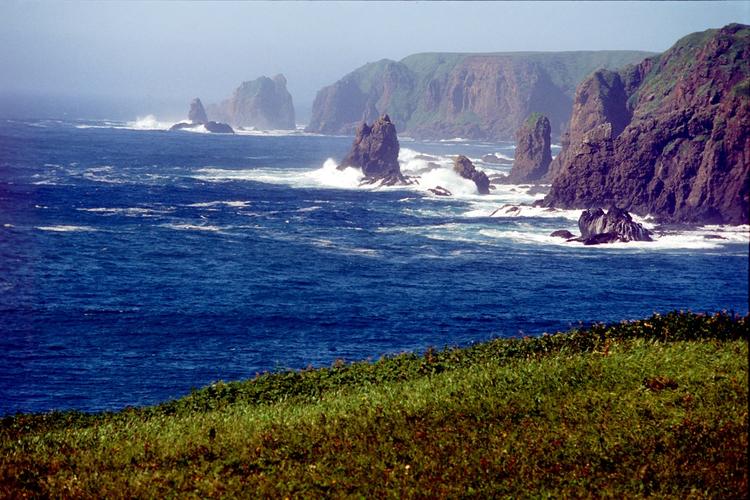 Песков прокомментировал возможную передачу Курильских островов Японии