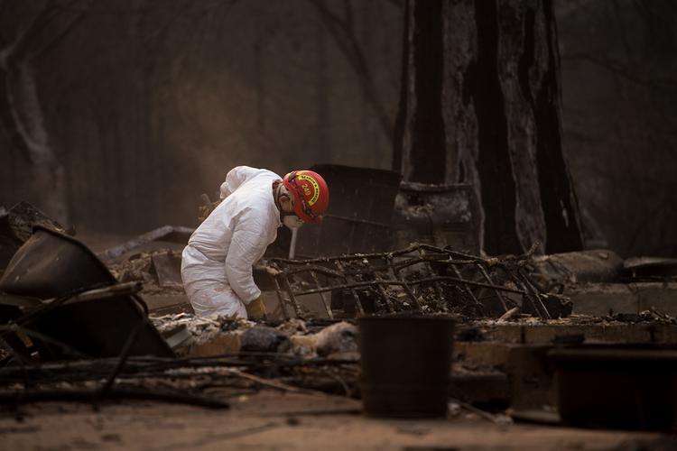 Жертвами пожаров в Калифорнии стали 84 человека