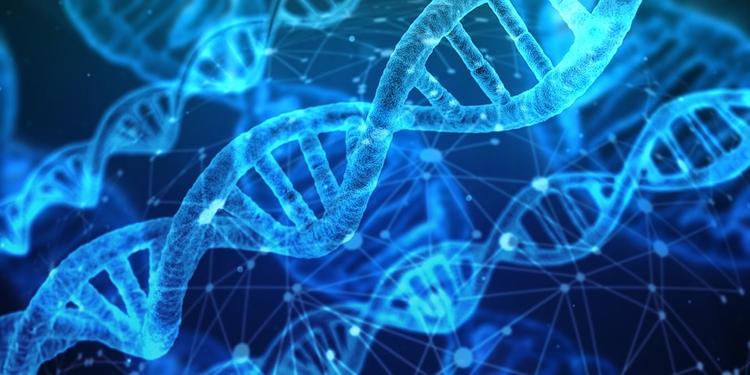Ученый из КНР заявил, что впервые в истории человечества изменил ДНК эмбриона