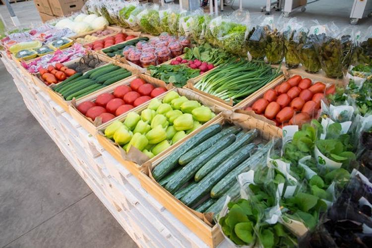 Государство профинансирует модернизацию овощехранилищ