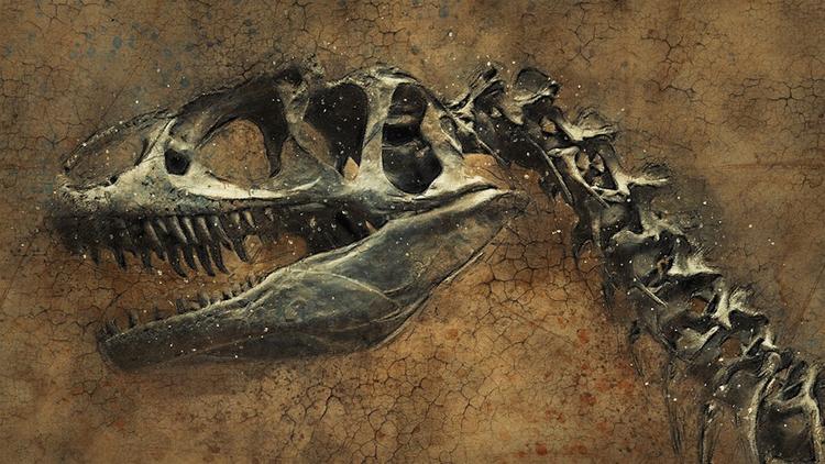 В китайском медном руднике нашли следы динозавров
