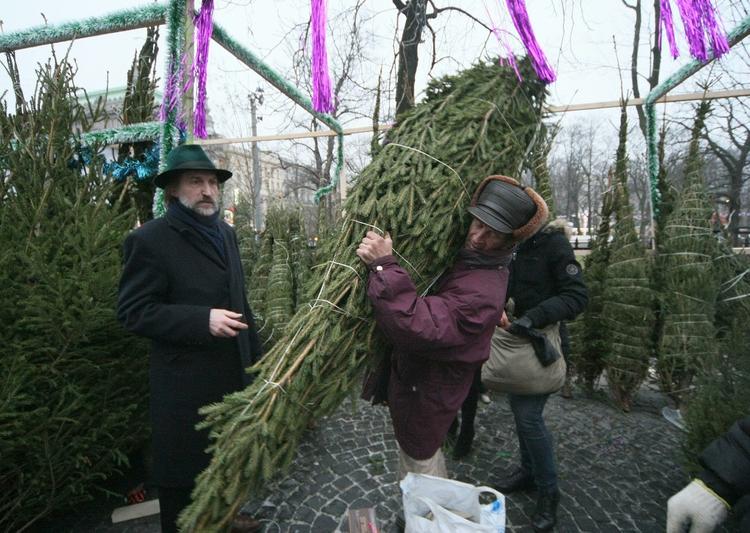 Эксперты подсказали, как выбрать новогоднюю елку