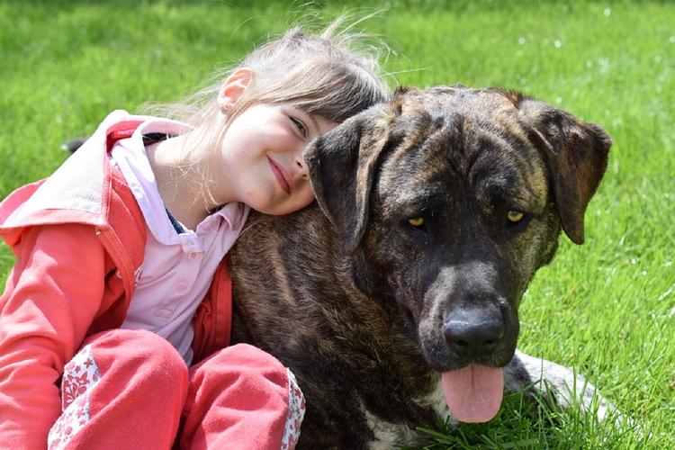 Общение с домашними животными может защитить детей от аллергии