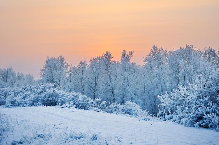 Сильные морозы надвигаются на Центральную Россию и Поволжье