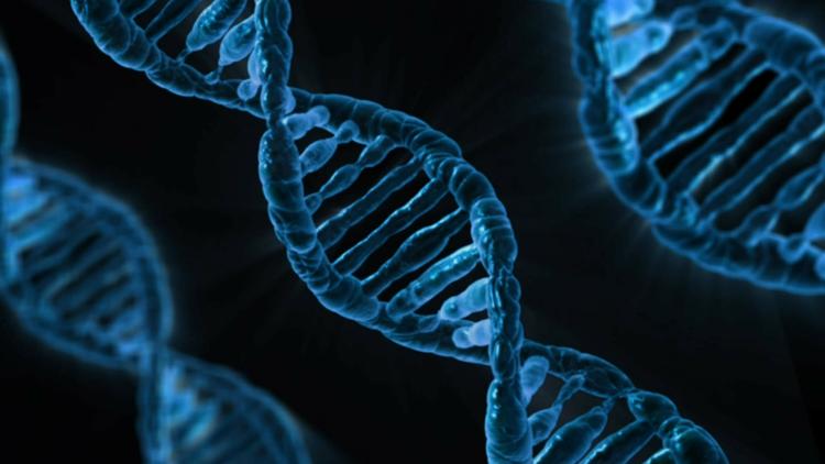Учёный считает, что эксперименты с изменением ДНК уже не остановить
