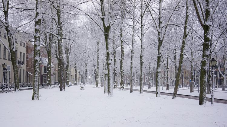 В Москве сегодня продожится снегопад, водителей  предупредили о гололедице