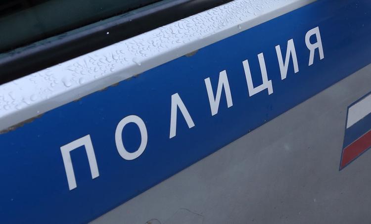 Тягач за 6,5 млн рублей похитили в Петербурге