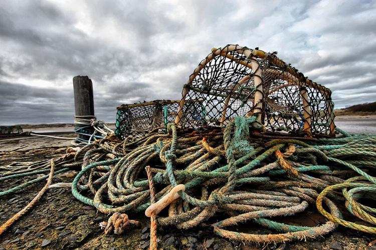 Японские рыбаки выплатили 39 млн рублей штрафа за промысел в российских водах