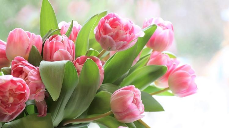 Россияне в этом году стали покупать меньше цветов и украшений перед 8 марта