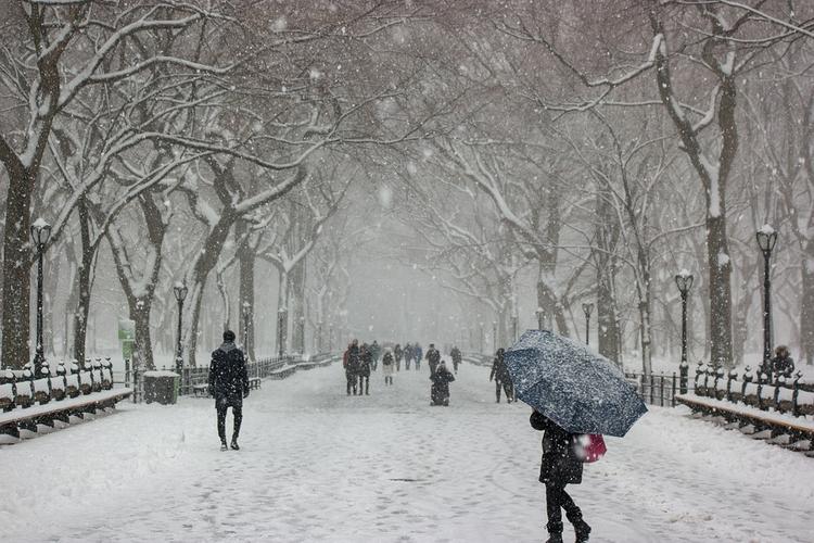 МЧС предупредило об ухудшении погоды 22 марта в Москве: мокрый снег и сильный ветер