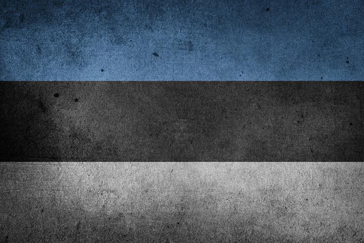 Президент Эстонии приедет в Москву для обсуждения санкций
