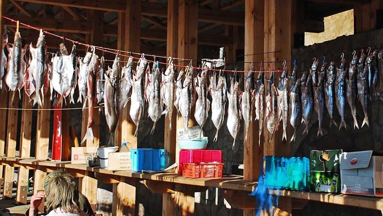 Вернется ли в Байкал омуль?