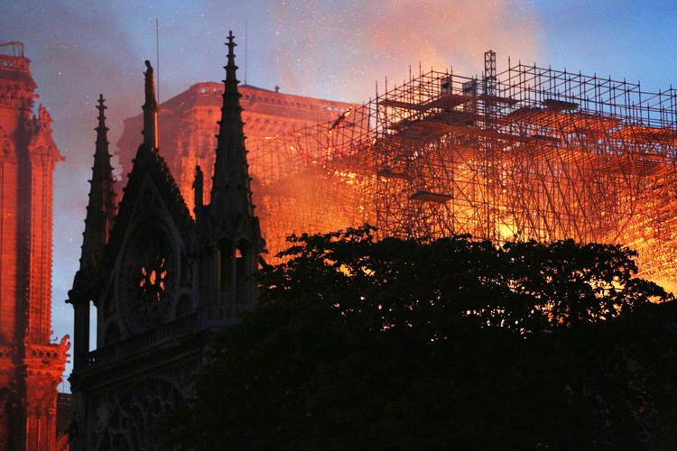 Ксения Собчак высказалась о пожаре в Париже: "Шедевры не служат разуму, который их недостоин"