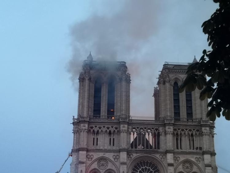 В сети появились первые снимки из пострадавшего от огня собора Парижской Богоматери