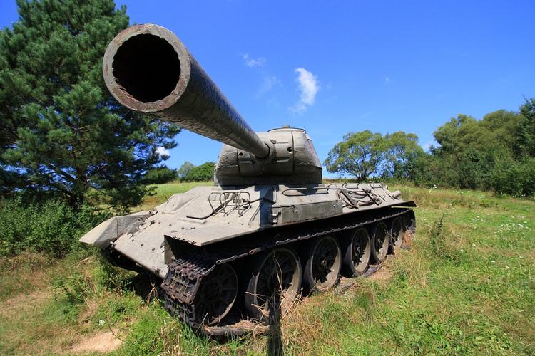 Лаос подарил России 30 танков