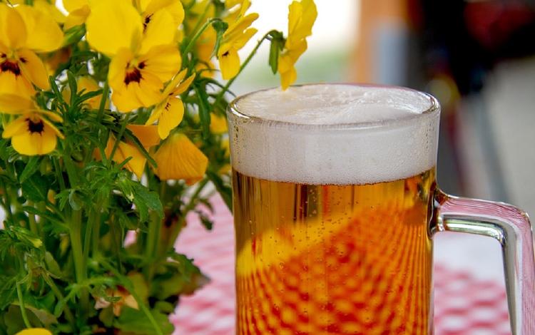 Эксперт: За последние 10-11 лет примерно на 30% сократилось потребление пива