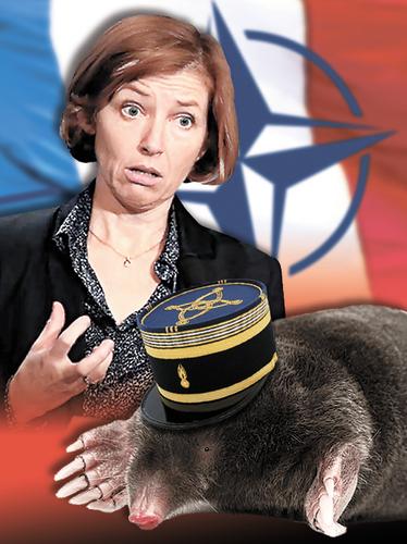 Министр обороны Франции Флоранс Парли обвинила в предательстве высокопоставленного офицера