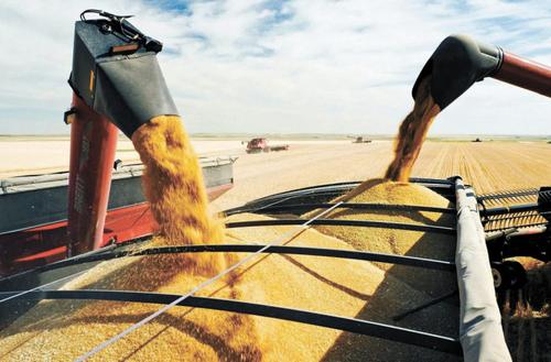 В Литве некоторые политики требуют запретить импорт российской пшеницы