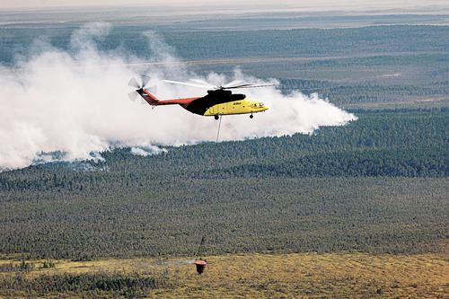 В России число лесных пожаров ежегодно снижается, а их площадь растет