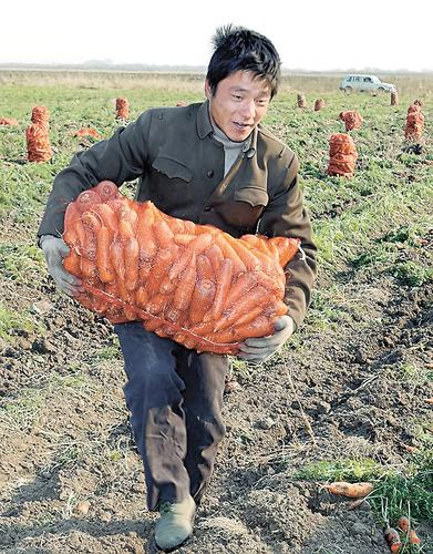 Узбекистан может взять в долгосрочную аренду у России миллион гектаров сельхозугодий   