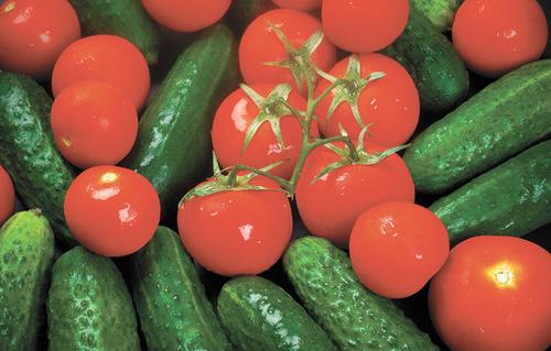 Минсельхоз РФ: самообеспеченность овощами в России составляет 87%
