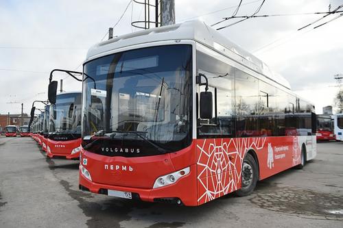 Маршруты транспорта в Перми перестроят с учетом мнения жителей 