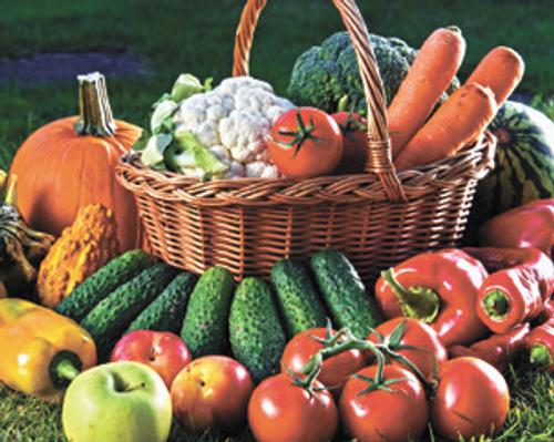 В России собран рекордный урожай овощей, фруктов и ягод