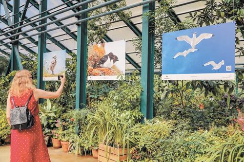 Фотовыставка птиц Российской Арктики открылась в Ботаническом саду МГУ