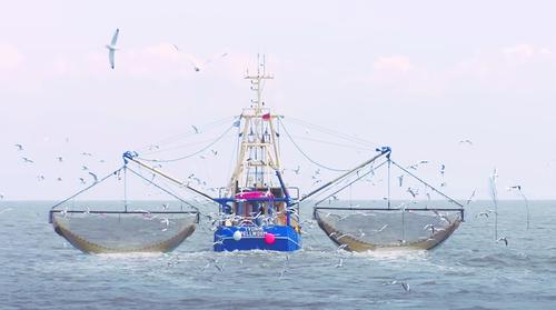 Российские рыбаки поймали больше рыбы, чем вся Европа