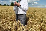 Российский агрокомплекс стал лидером в мировом экспорте пшеницы