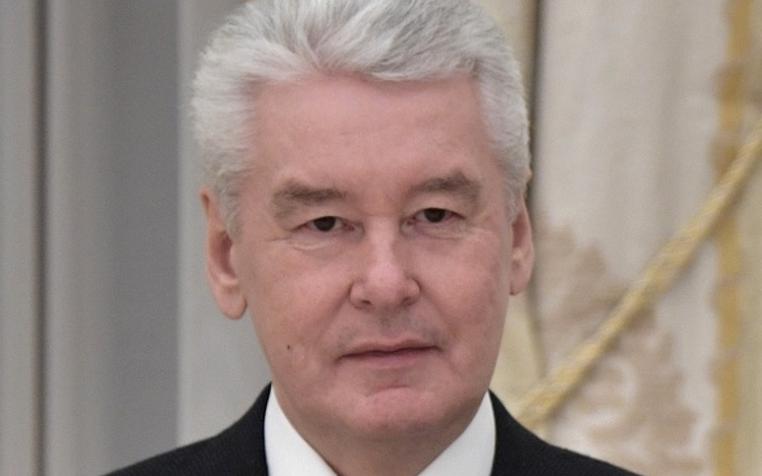 Собянин: все председатели УИК в Ново-Переделкино заменены