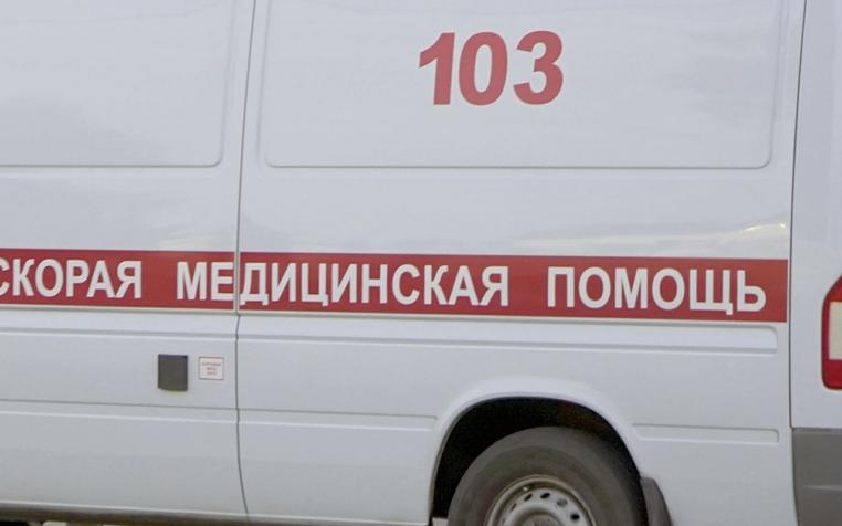 Бродячие собаки напали на девятилетнего мальчика в Иваново