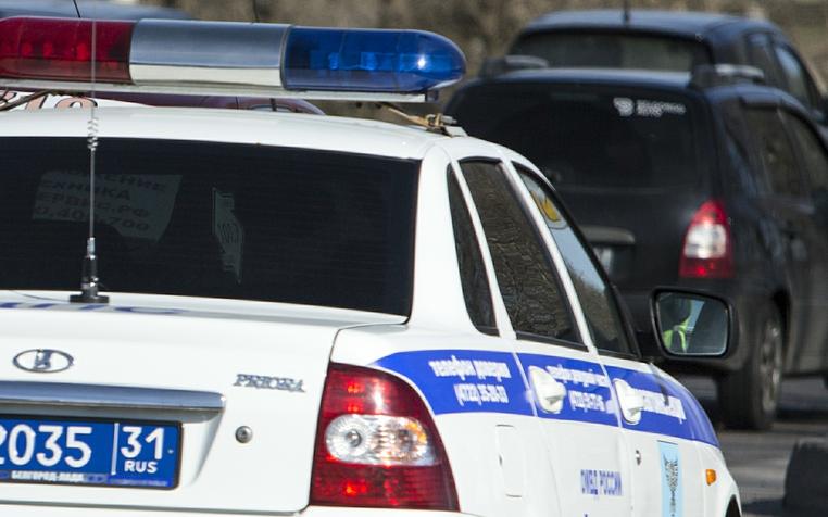 Сотрудники ГАИ спасли в Подмосковье троих детей, гулявших по краю дороги