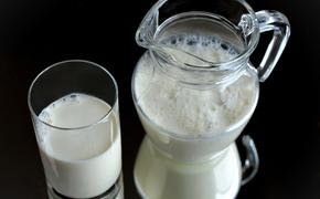 Россия предложила премьерам  ЕАЭС рассмотреть  решение по ввозу молока из Беларуси