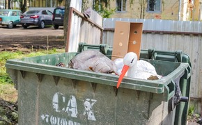 В Кузбассе младенца выбросили в мусорный бак